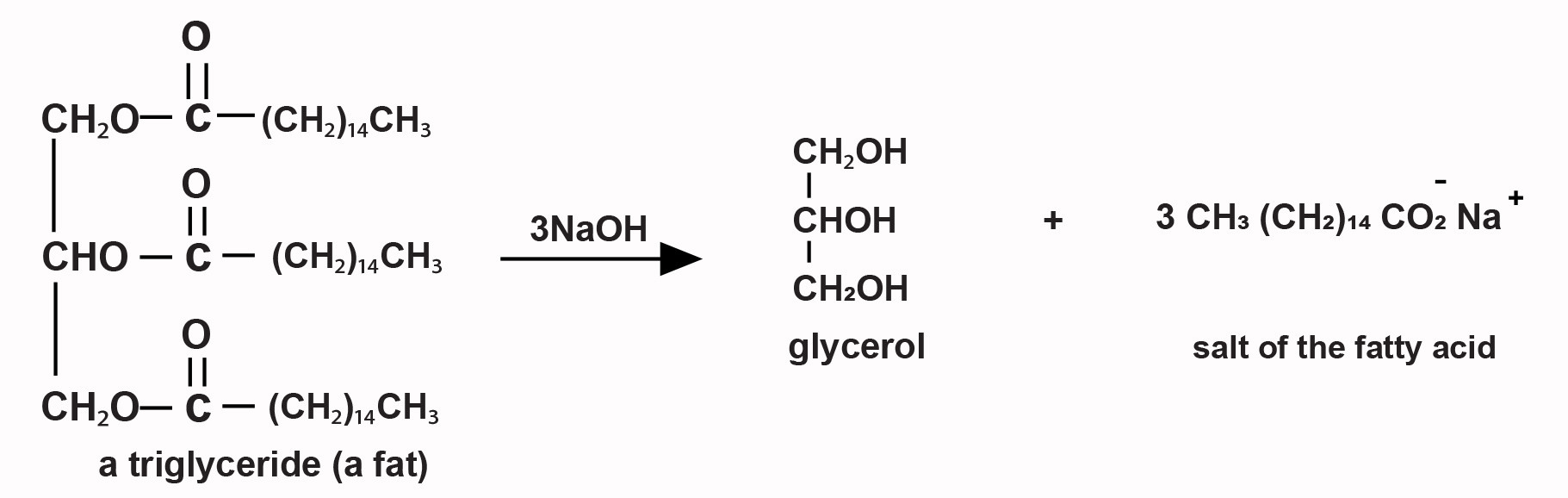 MCAT Biochemistry Review Summary | Gold Standard MCAT Prep